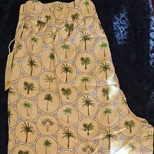 C&C California High Waist Palm Print Shorts - Tan and Green